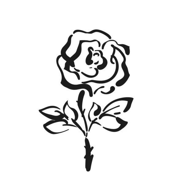 Rose Flower Digital Sketch Vector Illustration Hand Drawn Black White — Vetor de Stock