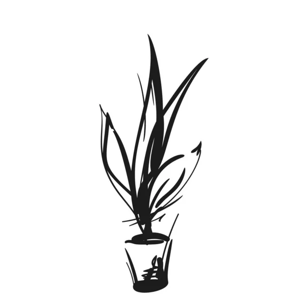 Houseplant Pot Quirky Digital Sketch Vector Stract Graved Black White — 스톡 벡터