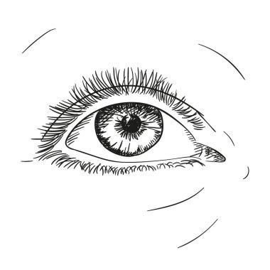 El çizimi göz kapağı, vektör çizimi beyaz, çizgi çizimi