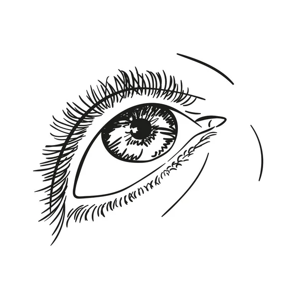 Hand Drawn Eye Close Looking Vector Sketch Isolated White Line — Stock Vector