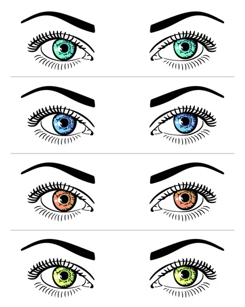Set Beautiful Woman Eyes Different Colors Brows Isolated White Background — 图库矢量图片