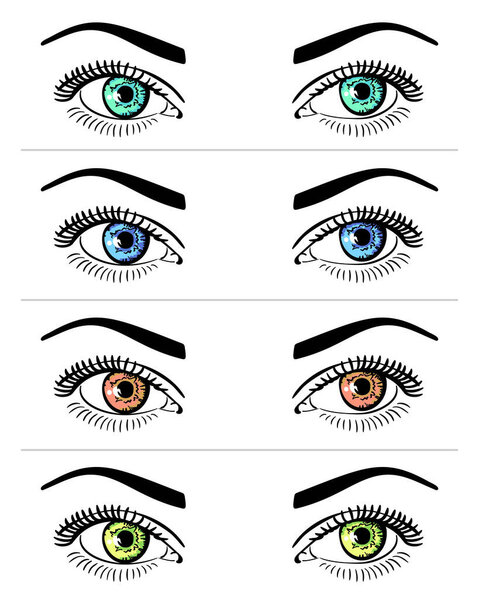 Set of beautiful woman eyes in different colors and brows isolated on white background, Vector illustration