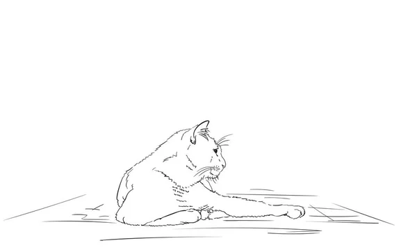 Katt Ligger Vilar Med Tass Utsträckt Vektor Skiss Ritning Realistiska — Stock vektor