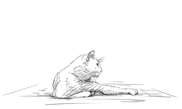 Katt Ligger Vilande Med Tass Utsträckt Vektor Skiss Ritning Lata — Stock vektor