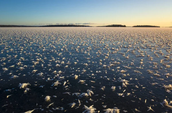 Cristais Neve Superfície Congelada Lago Gelo Azul Escuro Coberto Geada — Fotografia de Stock