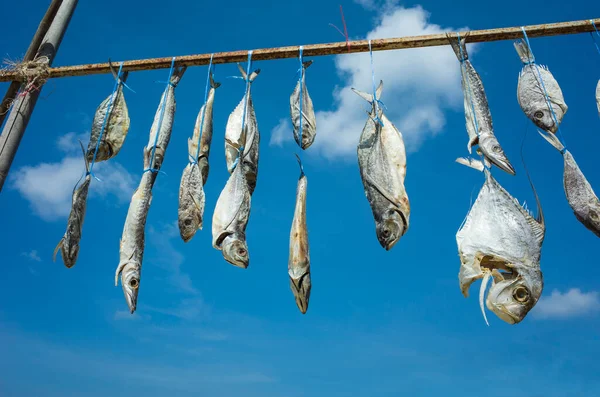 Ряд Сушеной Рыбы Висел Солнце Голубым Небом Таиланде — стоковое фото