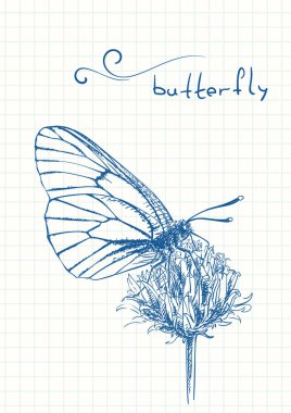 Kelebek çiçeğin nektarını toplar, mavi kalem çizimi kare kare defter sayfasında, el çizimi vektör illüstrasyonunda