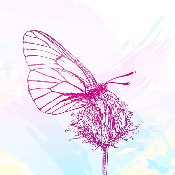 Butterfly Gathers Nectar Flower Vector Pink Sketch Watercolor Backdrop Hand — Stock Vector