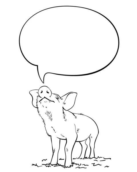 Sketch Pig Sniffs Speech Bubble Hand Drawn Vector Linear Illustration — Stock Vector