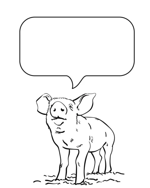 豚と音声バブルのスケッチ手描きベクトル線イラスト — ストックベクタ