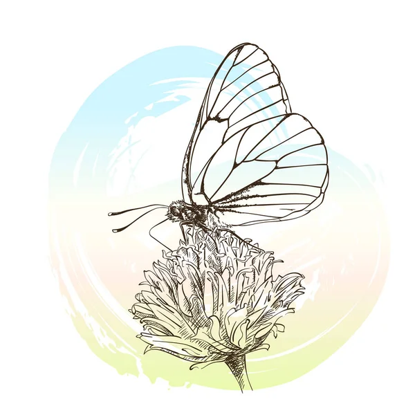 Mariposa Con Venas Negras Reúne Néctar Flor Boceto Vectorial Sobre — Archivo Imágenes Vectoriales