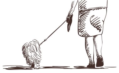 Dişi bacaklar ve tasmalı köpek, vektör çizimi beyaz üzerine izole edilmiş, el çizimi çizimi çizimi