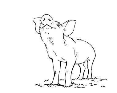 Domuz koklama çizimi, el çizimi vektör çizimi