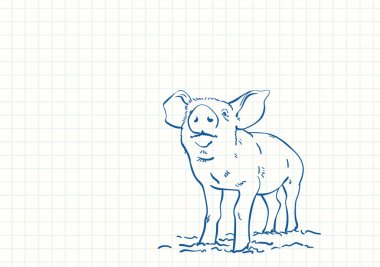 Domuz, mavi kalem çizimi kare kareli defter sayfası, el çizimi vektör doğrusal çizimi