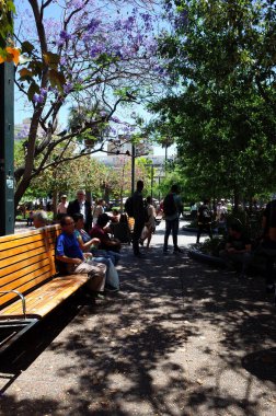 Santiago, Şili - 24 Kasım 2018: İnsanlar Armas Meydanı 'ndaki ağaçların gölgesinde dinleniyor