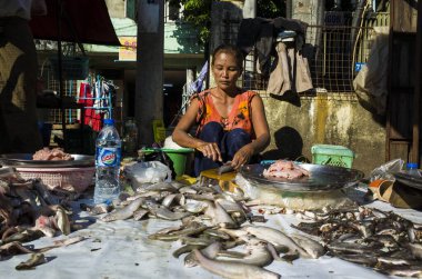 Yangon, Myanmar - 27 Aralık 2019: Sabah pazarında taze balık satışı, sokak fotoğrafı