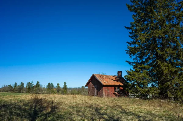 Pequena Casa Madeira Vermelha Sueca Tradicional Lado Árvore Jorro Campo — Fotografia de Stock