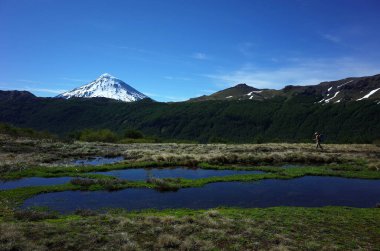 Patagonya 'da gezen insan yürüyüşçüsü, Villarrica ulusal parkında Villarrica boyunca otlak sulak arazide yürüyen volkan Lanin, Şili manzaralı yürüyüş parkı.