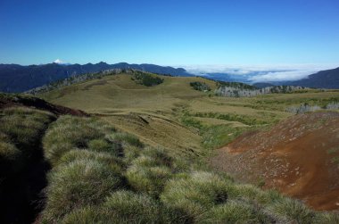 Patagonya doğası, tepeler çimlerle kaplı, Puyehue Ulusal Parkı, Los Lagos Bölgesi, Şili 'deki Puyehue Volkanı' nın dağ yamacındaki smal vadi. Kar kaplı yanardağ Osorno ufukta
