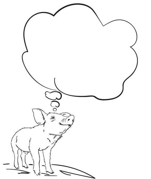 Bosquejo Cerdo Con Burbuja Pensamiento Ilustración Vectorial Dibujado Mano — Vector de stock