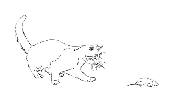 Skizze Einer Katze Die Mit Der Maus Spielt Von Hand — Stockvektor