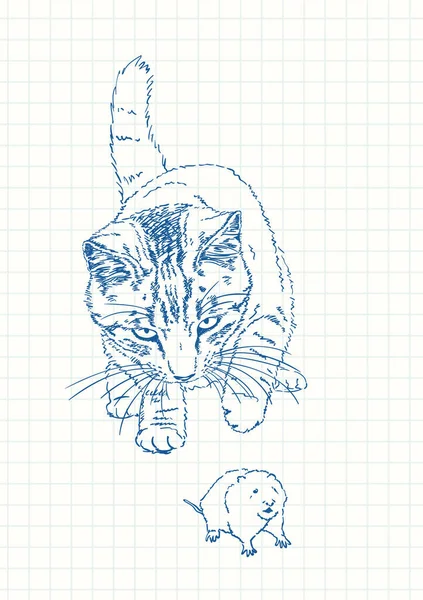 Gato Jugando Con Ratón Dibujo Pluma Azul Página Cuadrada Cuaderno — Archivo Imágenes Vectoriales