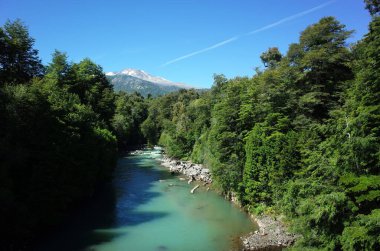 Volkan Puyehue, Puyehue Ulusal Parkı, Los Lagos Bölgesi, Şili, Patagonya Doğası manzaralı yemyeşil ormandaki turkuaz su nehri.