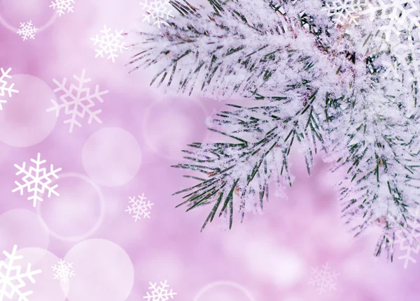 Kerstmis achtergrond met fir-tree en echte sneeuw — Stockfoto