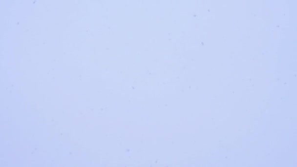Прекрасний снігопад над синім тлом — стокове відео