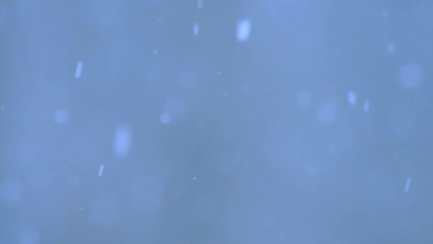 Снегопад на голубом фоне — стоковое видео