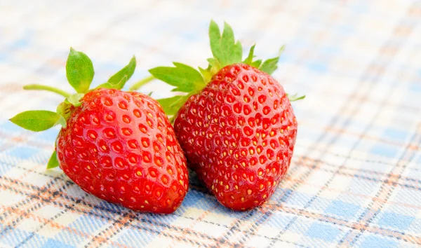 表布上新鲜甜草莓 — 图库照片