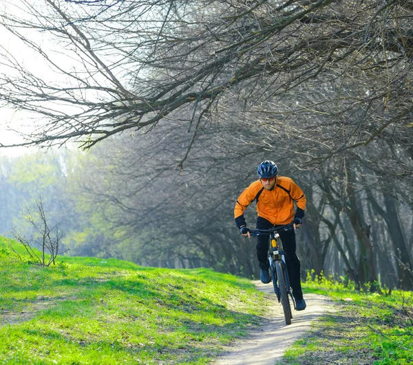 Cyclist Riding the Bike on the Trail in the Forest — Stock Photo, Image