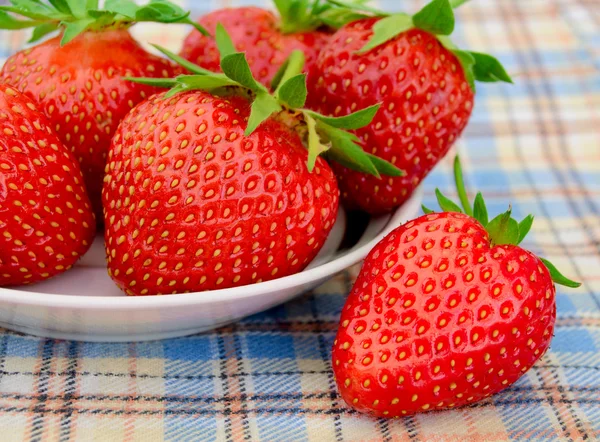 Verse aardbeien in een wit bord op een picknick tafellaken — Stockfoto