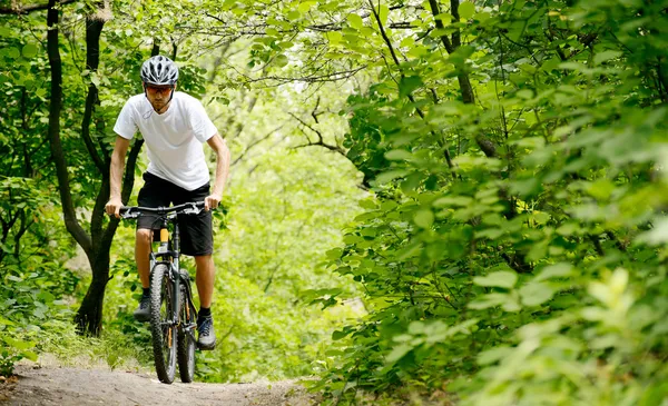骑自行车者在骑自行车在林中小径上 — 图库照片