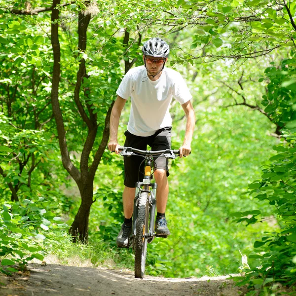 Ciclista andando de bicicleta na trilha na floresta — Fotografia de Stock
