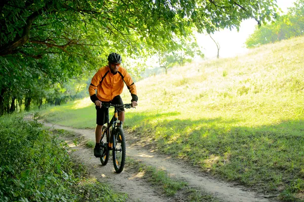 Ciclista andando de bicicleta na trilha na floresta — Fotografia de Stock