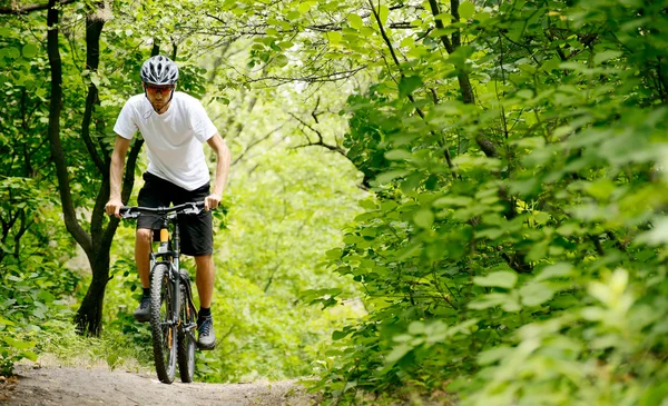 Ciclista in sella alla bicicletta sul sentiero nel bosco Foto Stock Royalty Free