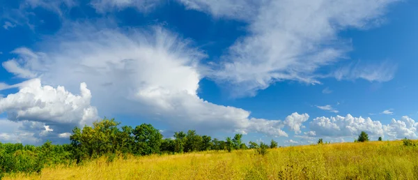 Beautiful Yellow Field and Green Forest under Dramatic Sky — Stock Photo, Image