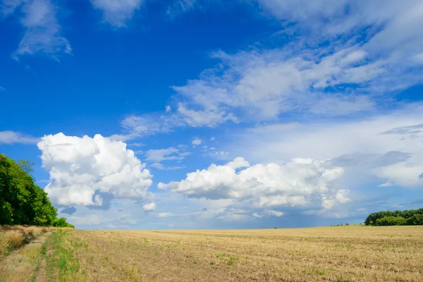 Hermoso campo de otoño bajo el cielo dramático — Foto de Stock