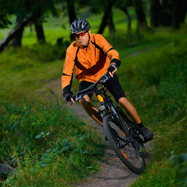 Fietser rijden de fiets in het mooie zomerse forest — Stockfoto