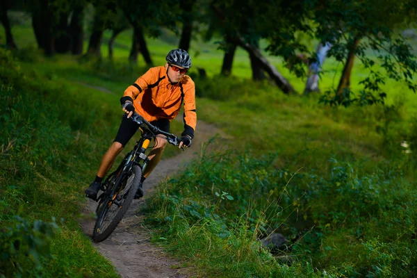 Велосипедист на велосипеде в красивом летнем лесу — стоковое фото