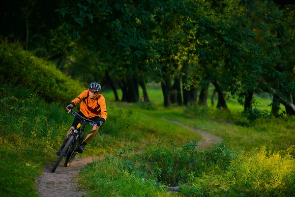 Ciclista montando en bicicleta en el hermoso bosque de verano — Foto de Stock