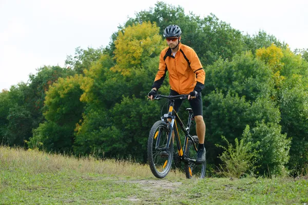 Radler auf dem Fahrrad im schönen Herbstwald — Stockfoto