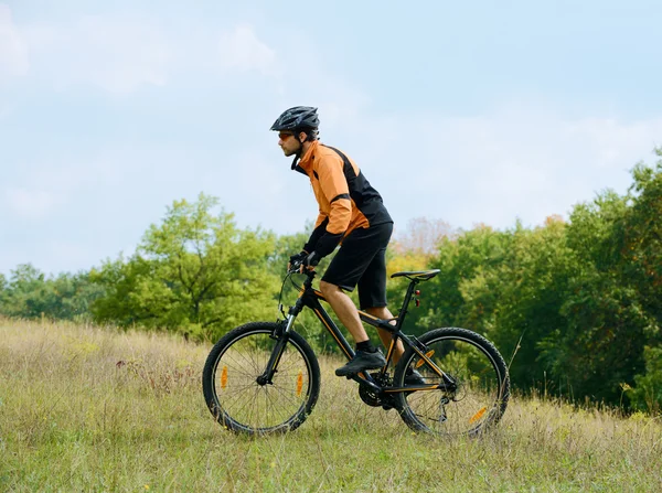 सुंदर शरद ऋतूच्या जंगलात बाईक चालवणे सायकलिस्ट — स्टॉक फोटो, इमेज