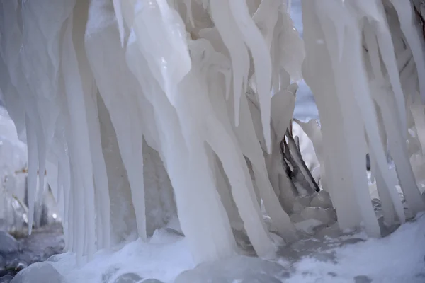 Lunghi e bellissimi ghiaccioli sui rami degli alberi vicino al fiume — Foto Stock