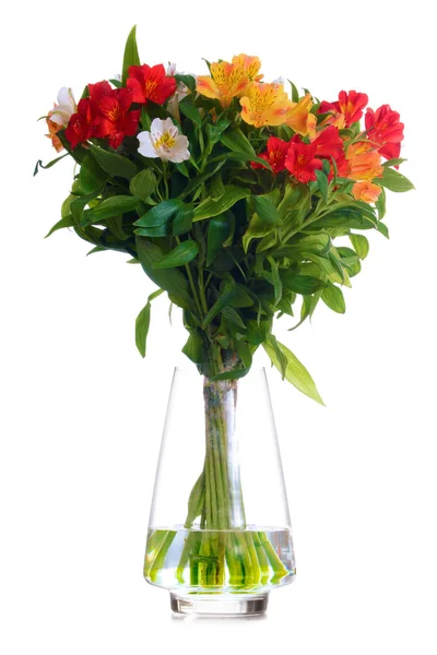 Lindas flores coloridas no vaso de vidro isolado em branco — Fotografia de Stock