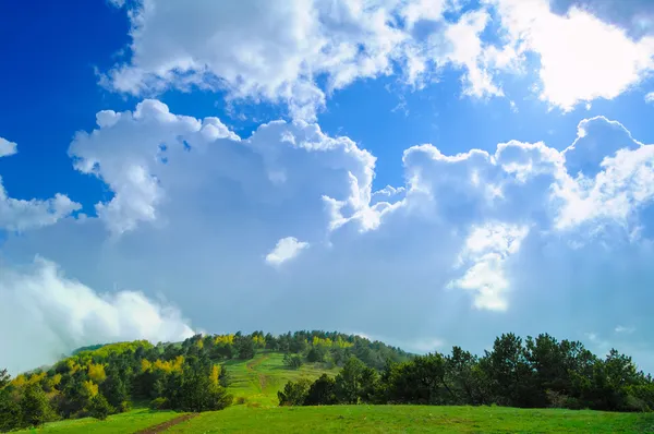 Fantastiska molnig himmel över skogen och hill — Stockfoto