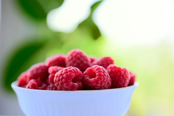大堆的绿色背景上的碗里的新鲜树莓 — 图库照片
