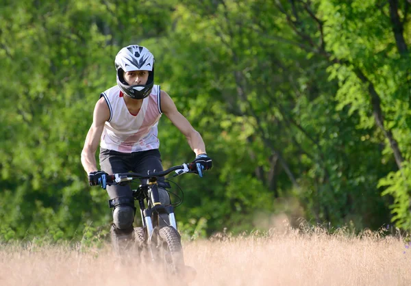 Ciclista montando la bicicleta en el sendero en el hermoso bosque —  Fotos de Stock