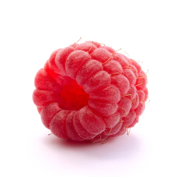 Framboesa suculenta vermelha madura isolada em fundo branco — Fotografia de Stock